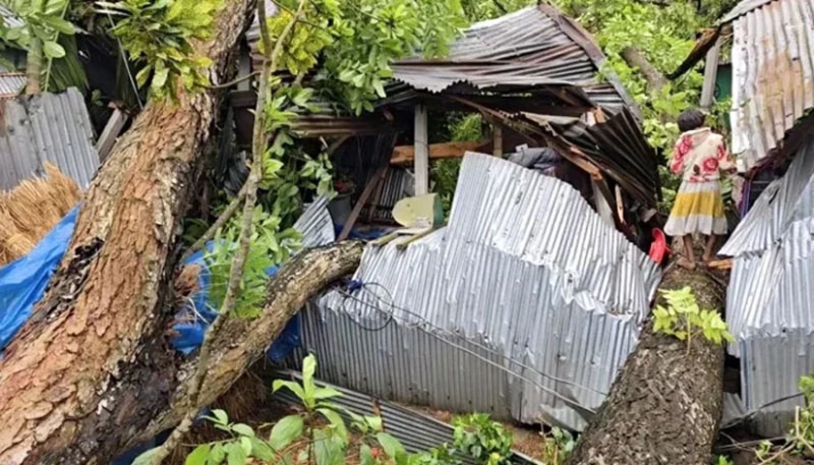 হঠাৎ কালবৈশাখীর তাণ্ডবে লন্ডভন্ড ঠাকুরগাঁও