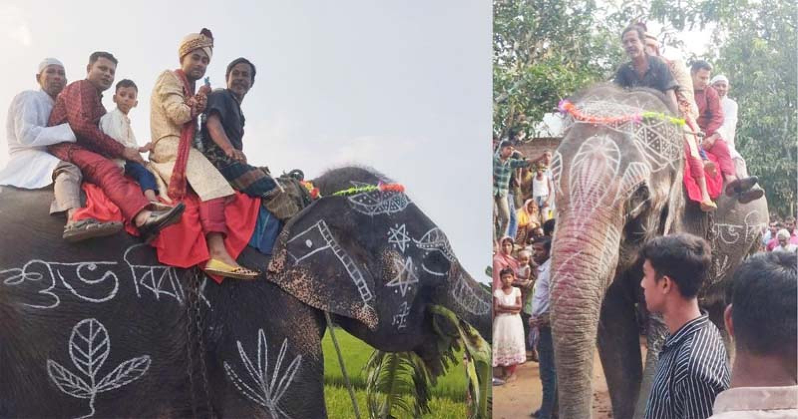 মায়ের শখ পূরণে হাতির পিঠে চড়ে বিয়ে করতে গেলেন বর