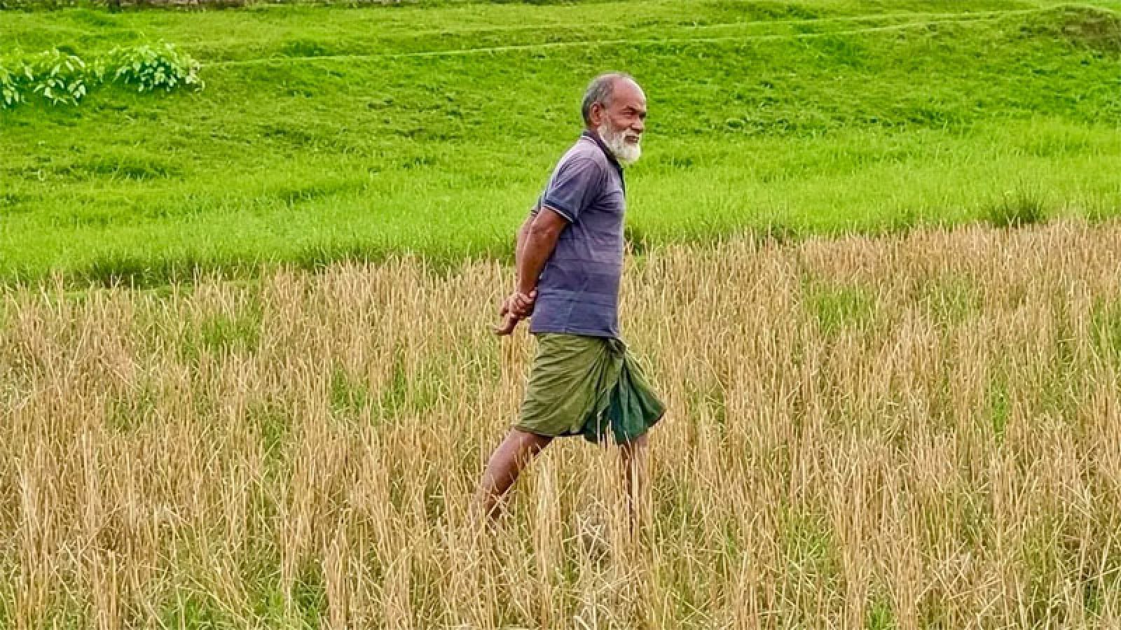 বকশীগঞ্জ সীমান্তে পুশইনের শিকার সেই বৃদ্ধ গোদাগাড়ীর বাসিন্দা, হস্তান্তর প্রক্রিয়া চলছে