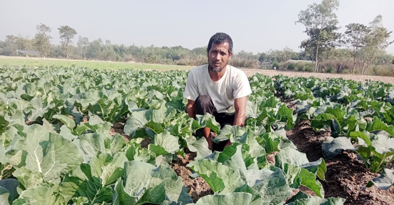 সৌরশক্তির সেচে সবজি চাষে সফল কৃষক