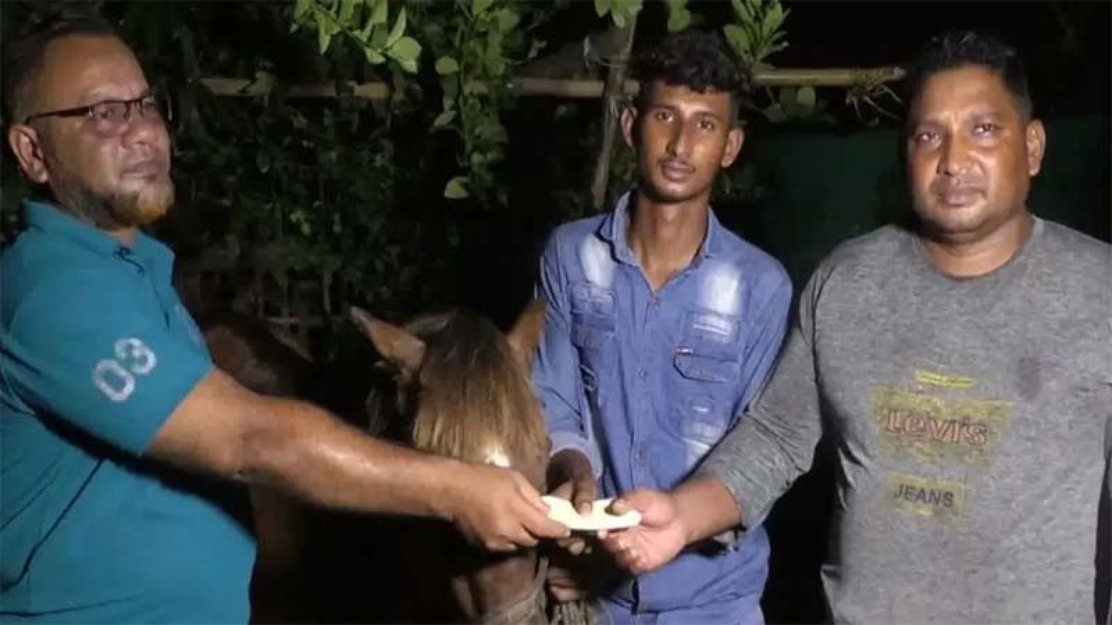 অন্ধ ঘোড়াকে আশ্রয় দেওয়া কলেজছাত্রের জন্য উপহার পাঠালেন প্রধানমন্ত্রী