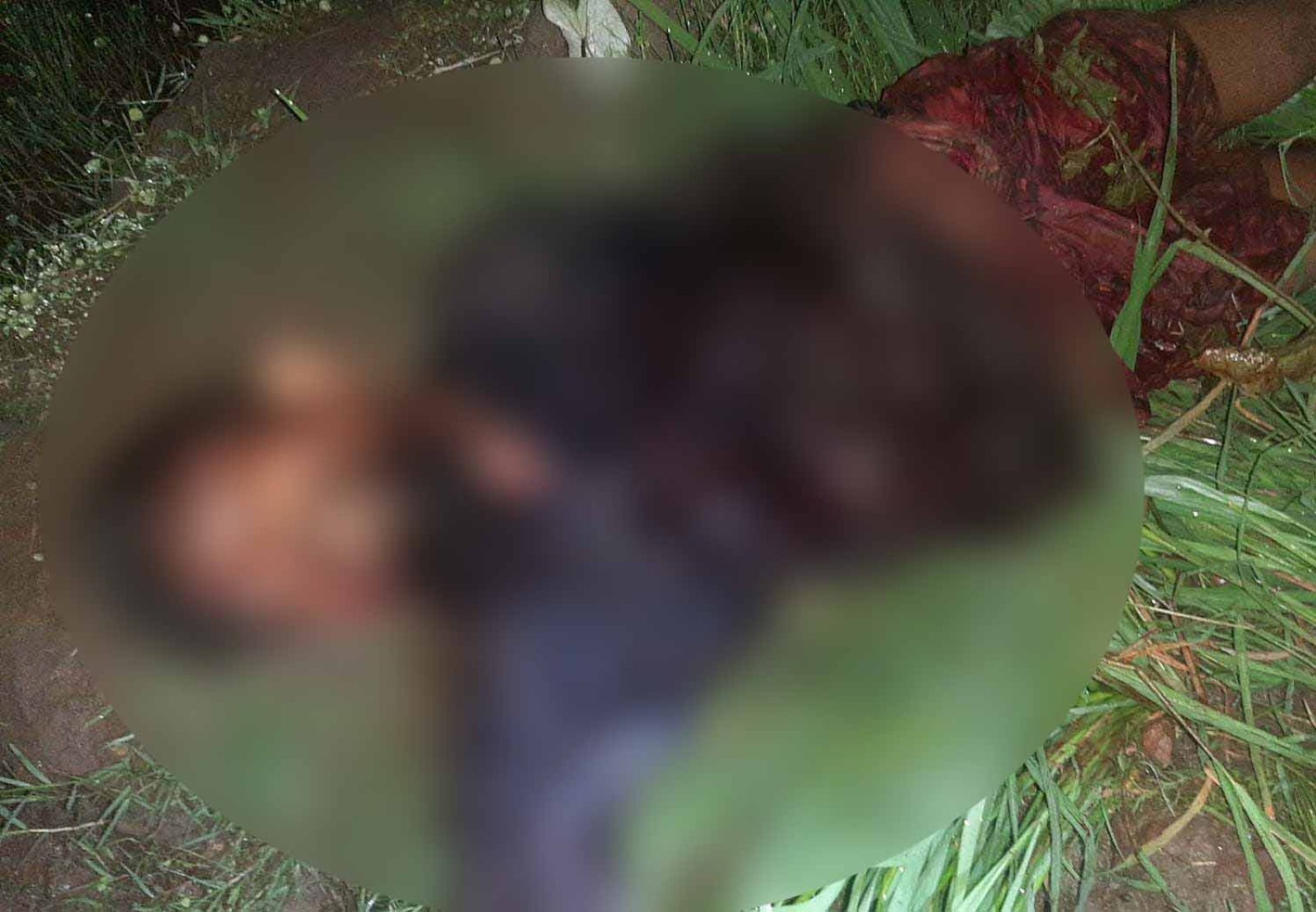 বদলগাছীর সড়কে লাশ, পাশে অক্ষত ভ্যান—খুন নাকি অন্য কিছু?