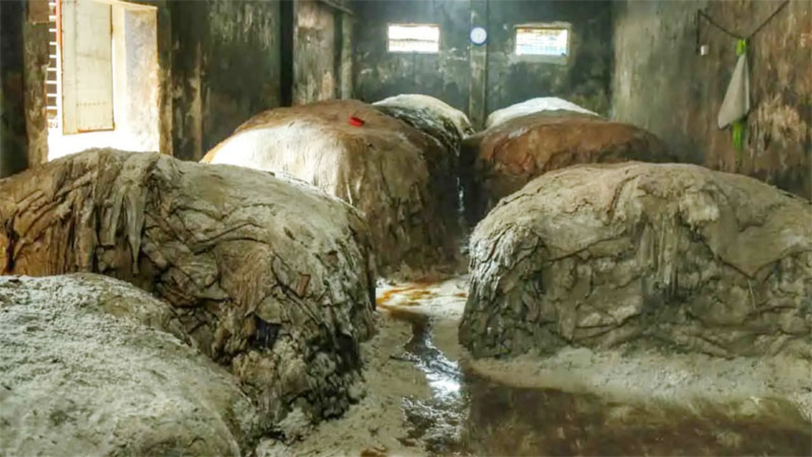 দুই হাজার টাকার চামড়া বিক্রি হচ্ছে ৫০০ টাকায়