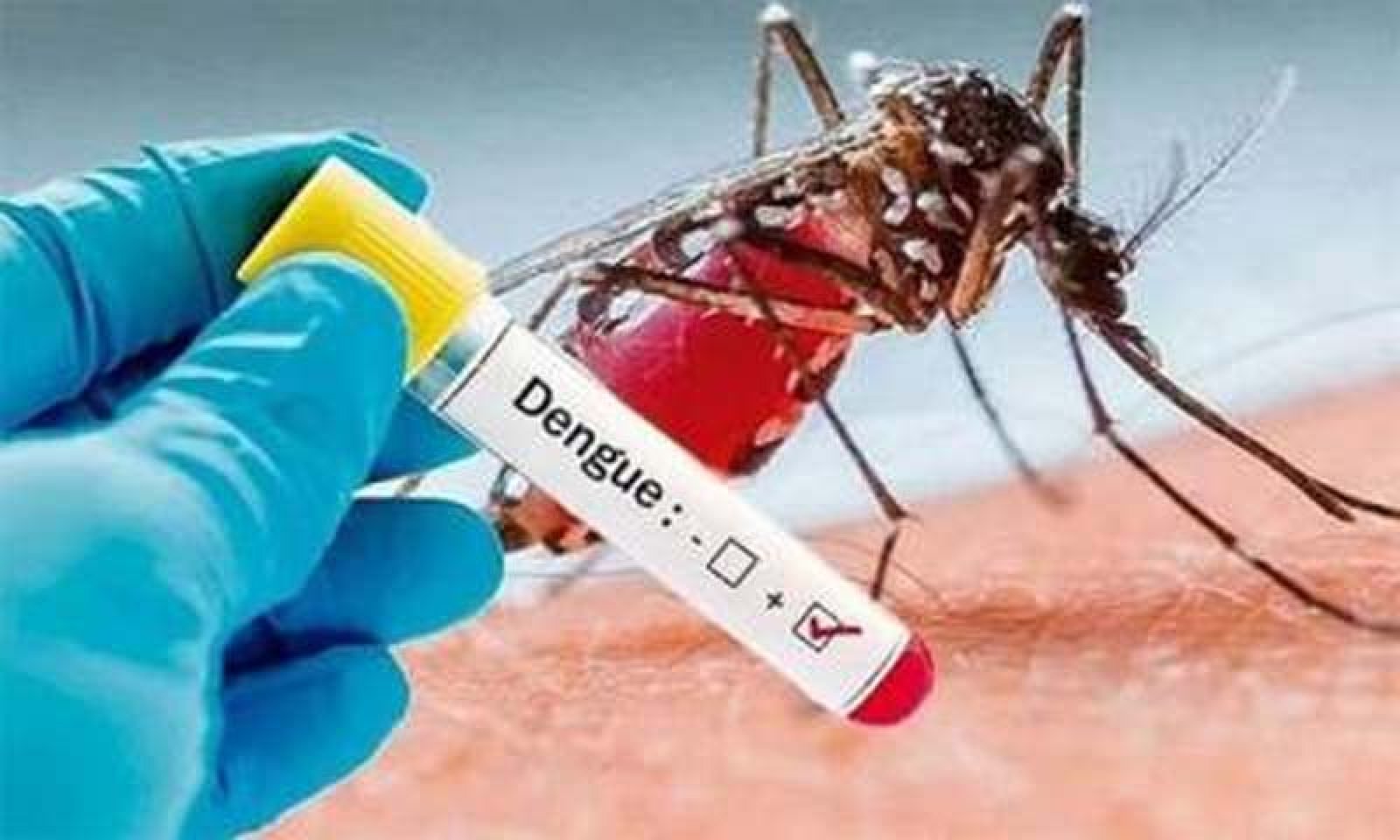 ডেঙ্গুতে আরও ৫ জনের মৃত্যু, হাসপাতালে ভর্তি ২২১৮