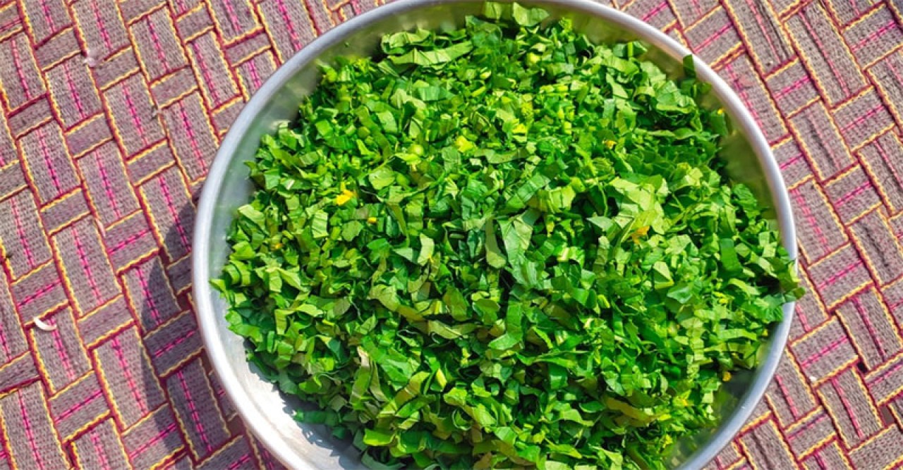৩টি শাক উপকারীতা সম্পর্কে জেনে নিন