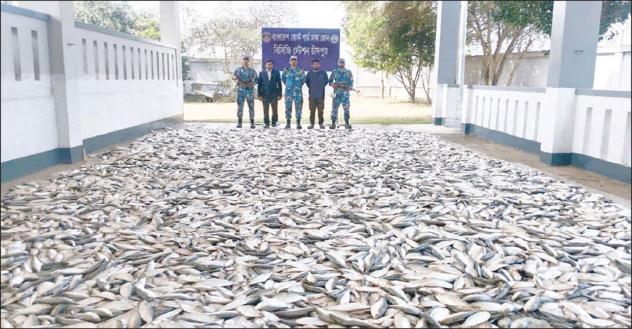 ৬ হাজার কেজি ইলিশ এতিম ও দুস্থরা পেল