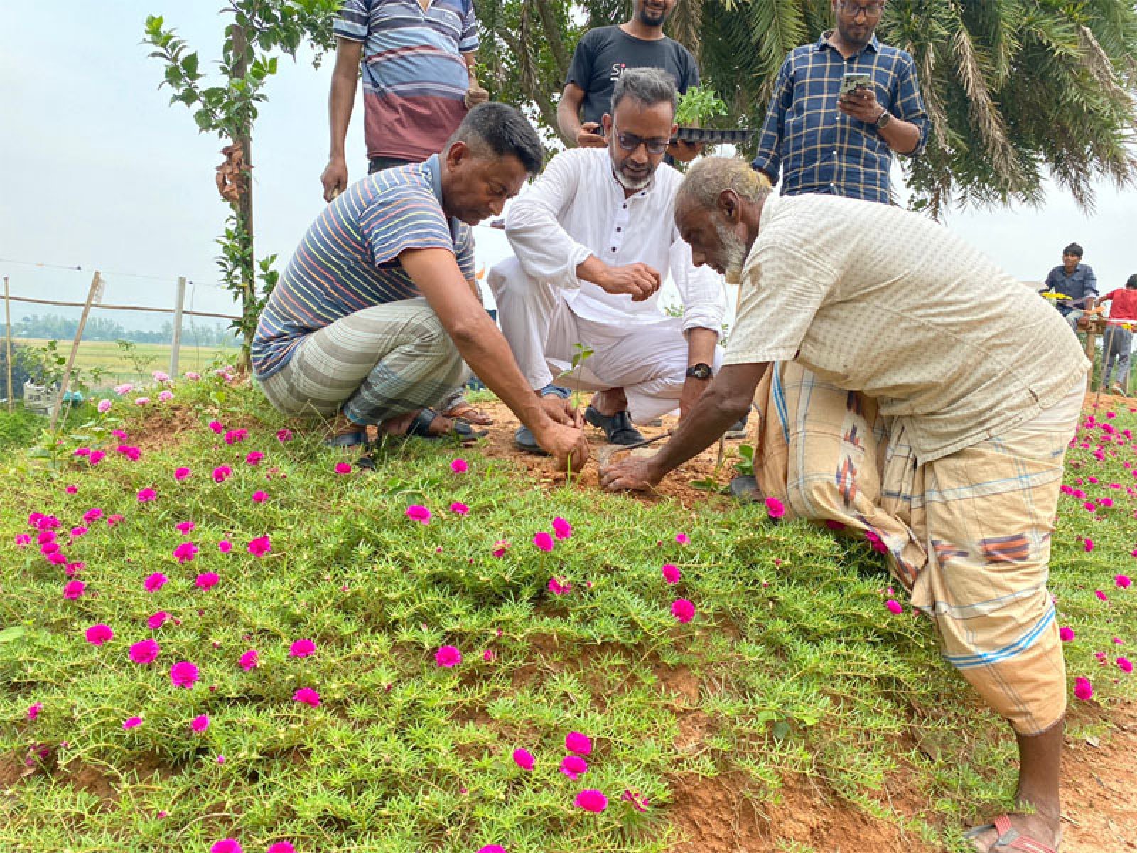 বদলগাছীতে পারিবারিক পুষ্টি চাহিদা পূরণে ব্যতিক্রমী উদ্যোগ রেজাউন নবী স্যান্ডোর