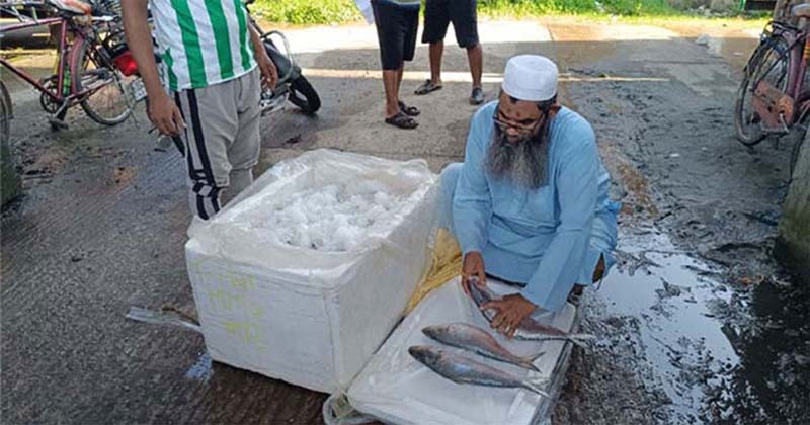ভারতীয় ইলিশ আমদানি বন্ধ, বাতিল ১০৩ এনওসি