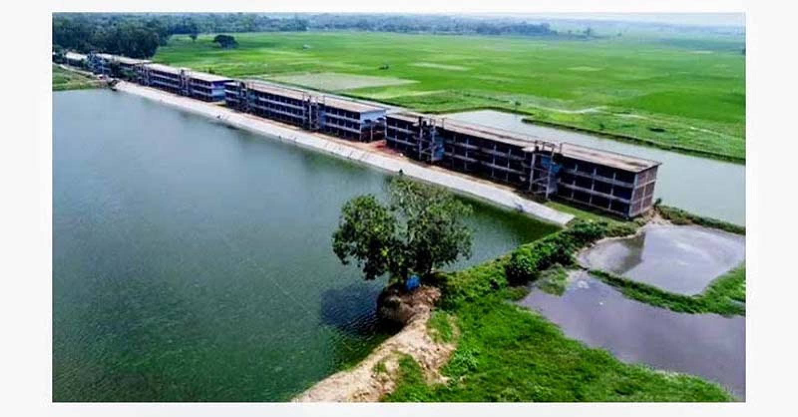মুরগির খামারের বর্জ্যে ৩০০ বিঘা জমি ক্ষতির মুখে, বিপাকে কৃষক