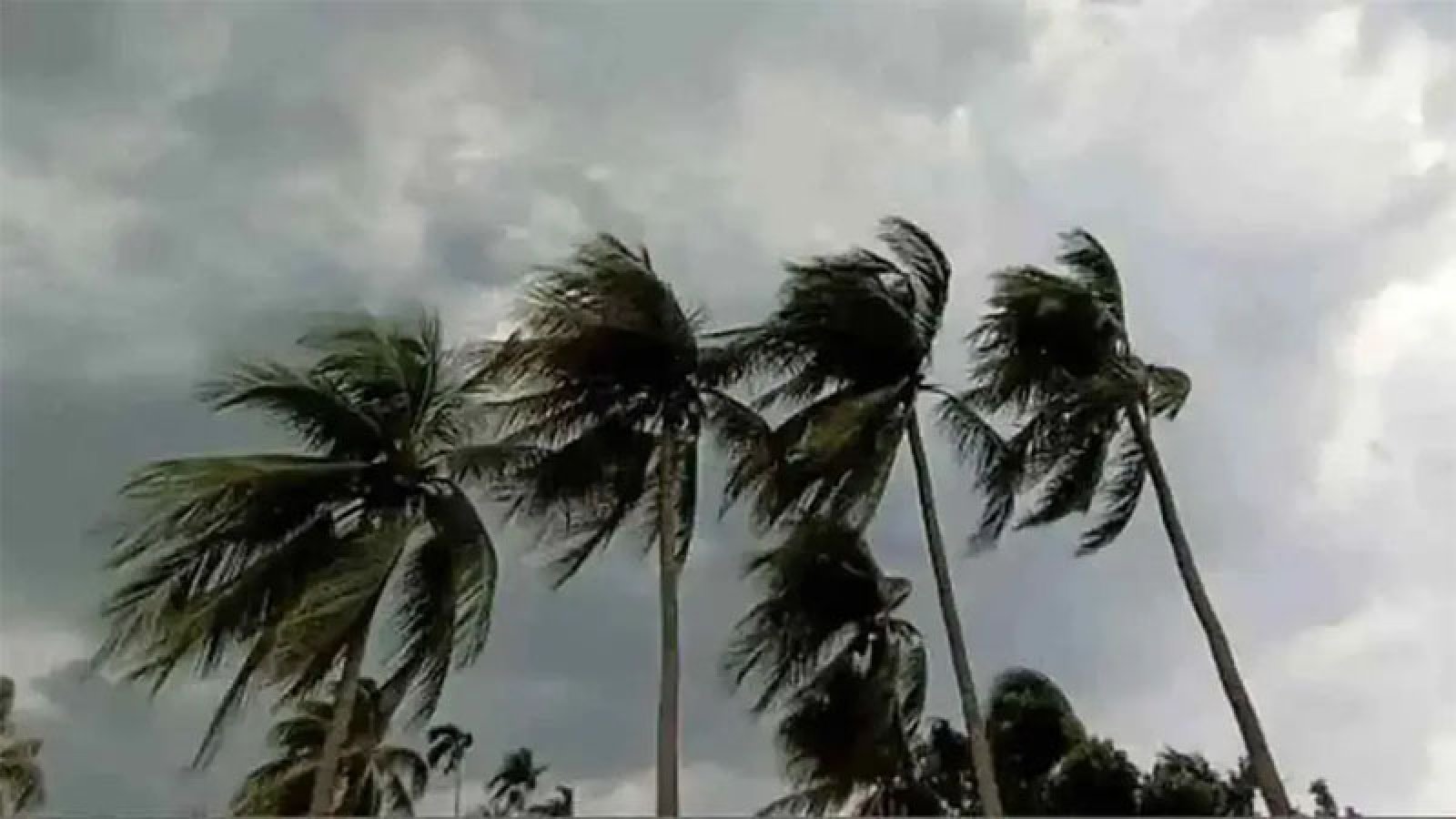 রাতের মধ্যে ১১ অঞ্চলে ঝড়ের আভাস