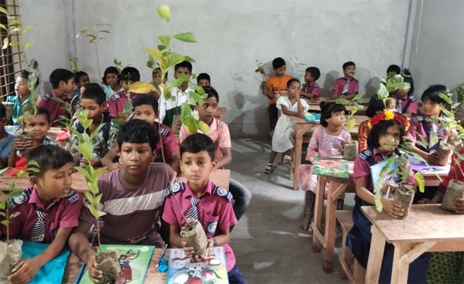 চাঁপাইনবাবগঞ্জে গ্লোবাল ইসলামিক স্কুলে গাছের চারা বিতরণ