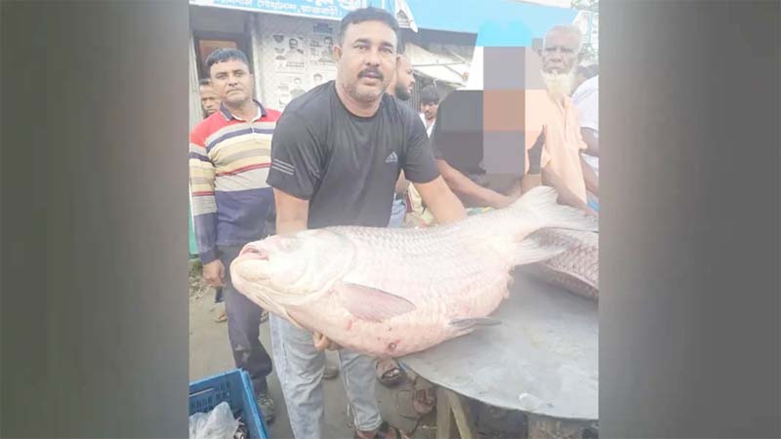 পদ্মা নদীতে ধরা পড়লো ৩৫ কেজির কাতল