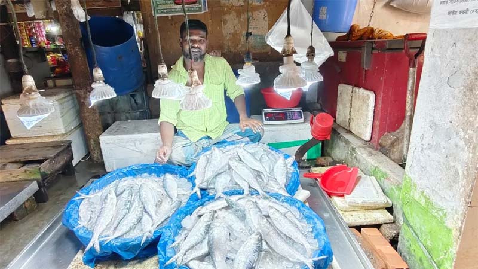 কোল্ড স্টোরের ইলিশেও স্বস্তি নেই, দাম ২ হাজার ৫০০