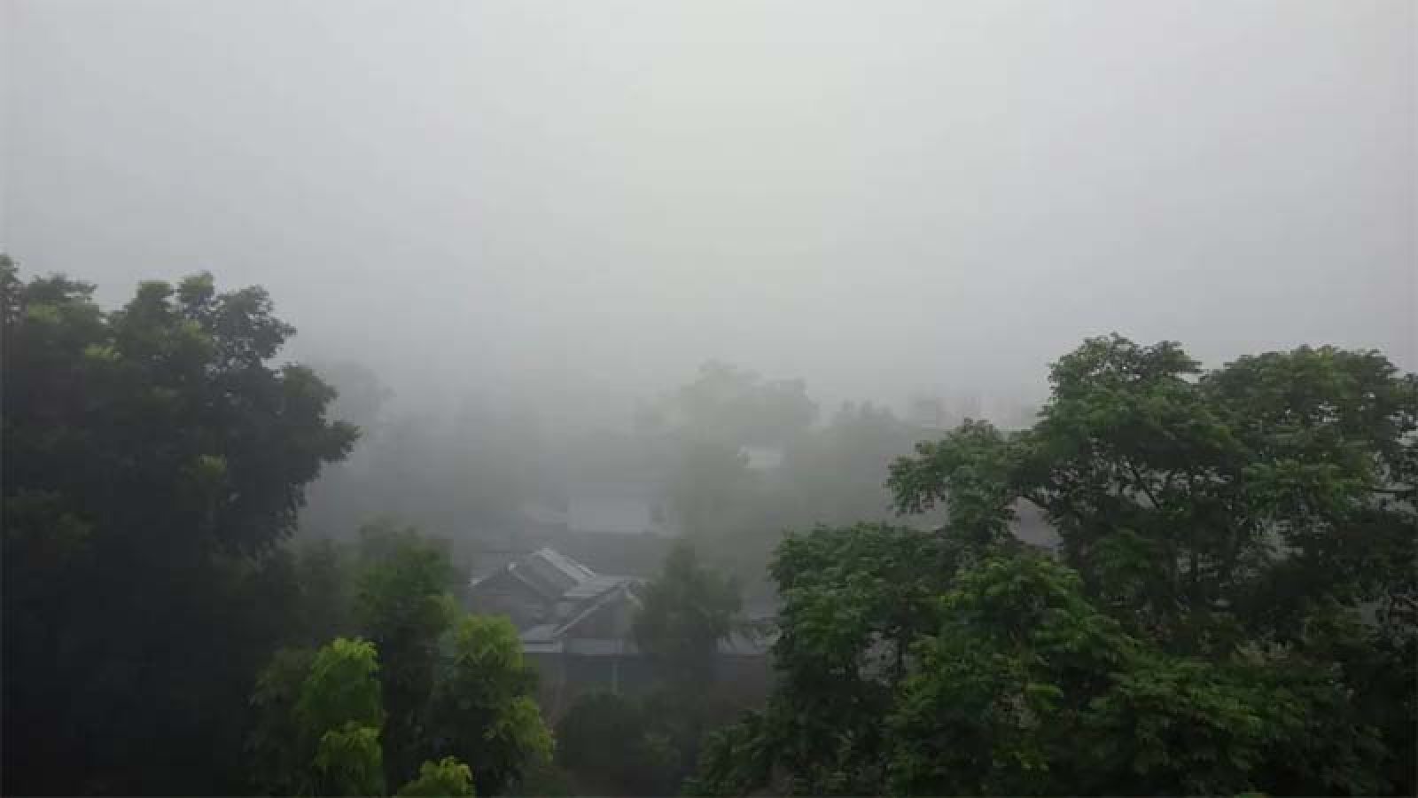 নীলফামারীতে হঠাৎ  ঘন  কুয়াশায় ঢাকা পড়েছে