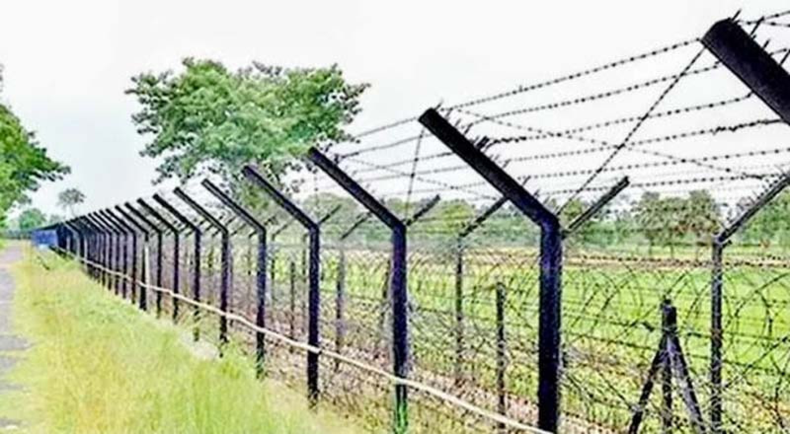 রাজশাহী সীমান্তে আটক ৫ বাংলাদেশিকে ফেরত দিলো বিএসএফ