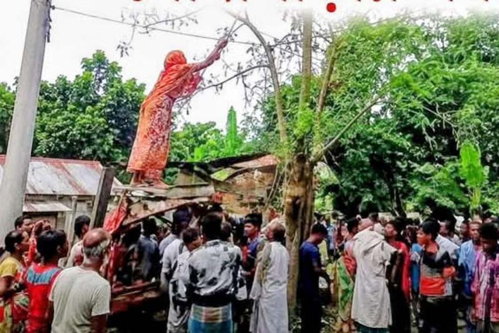 সজিনা গাছের ডাল কাটতে গিয়ে বিদ্যুতায়িত হয়ে গৃহবধূর মৃত্যু