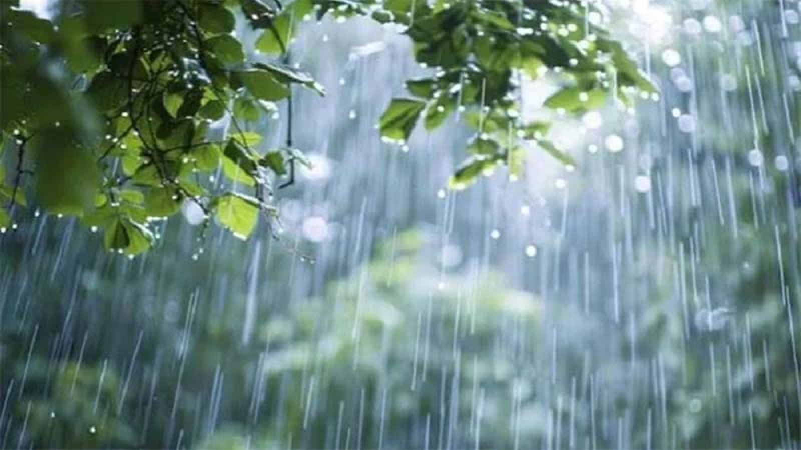 আগামী পাঁচদিন দেশজুড়ে ভারী বর্ষণের আভাস