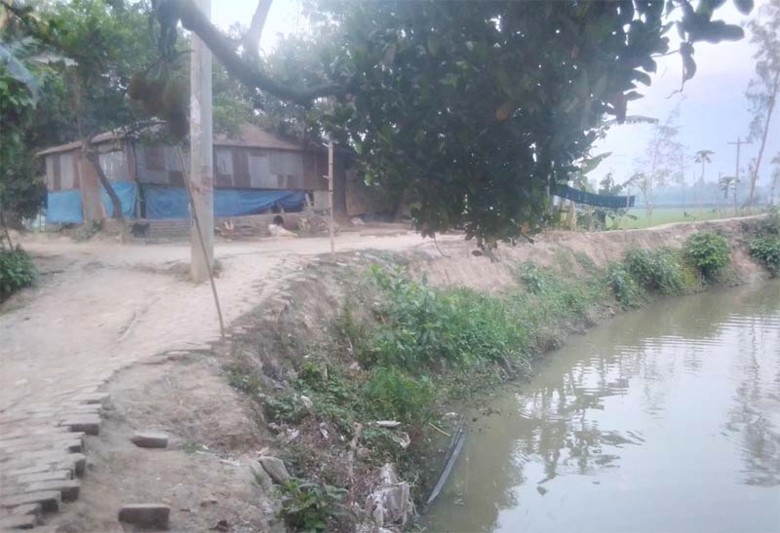 রায়গঞ্জের গ্রামপাঙ্গাসী গ্রামে এখনো লাগেনি উন্নয়নের ছোঁয়া