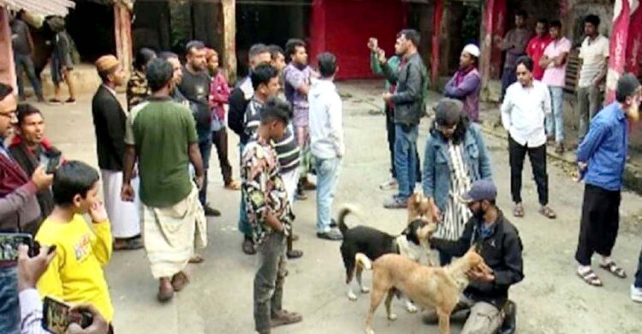 বরিশাল মাংসের দোকানে কুকুর জবাই