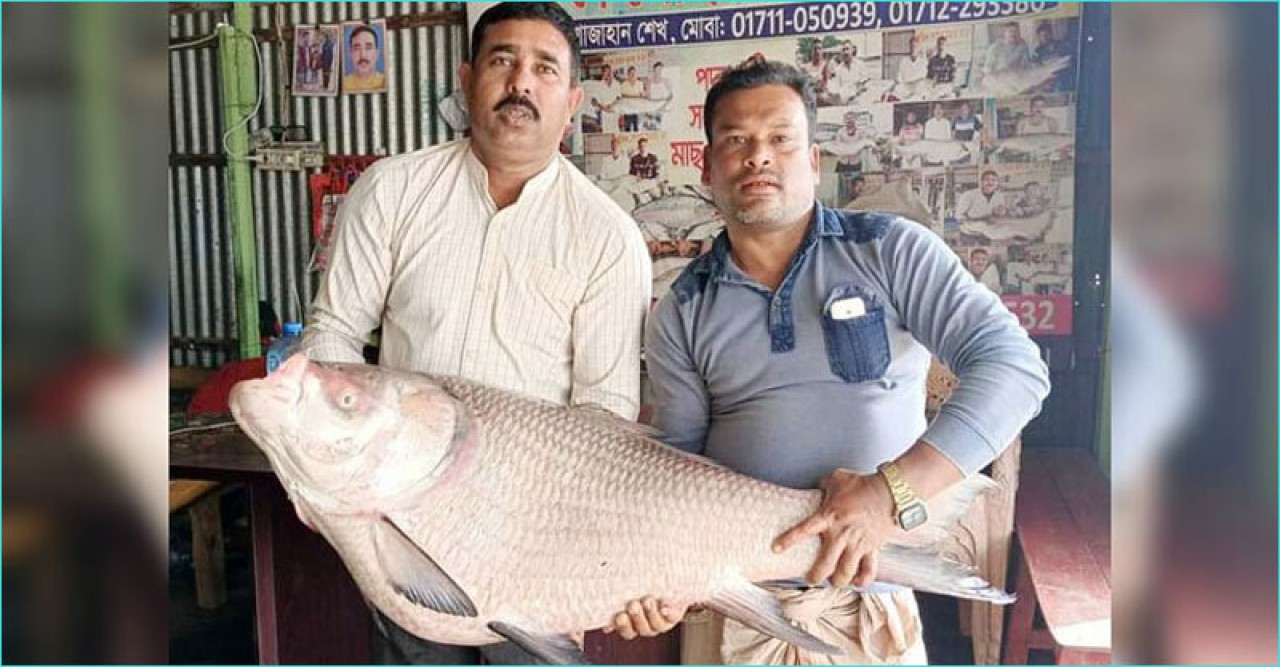 এক কাতলের দাম ৫২ হাজার টাকা