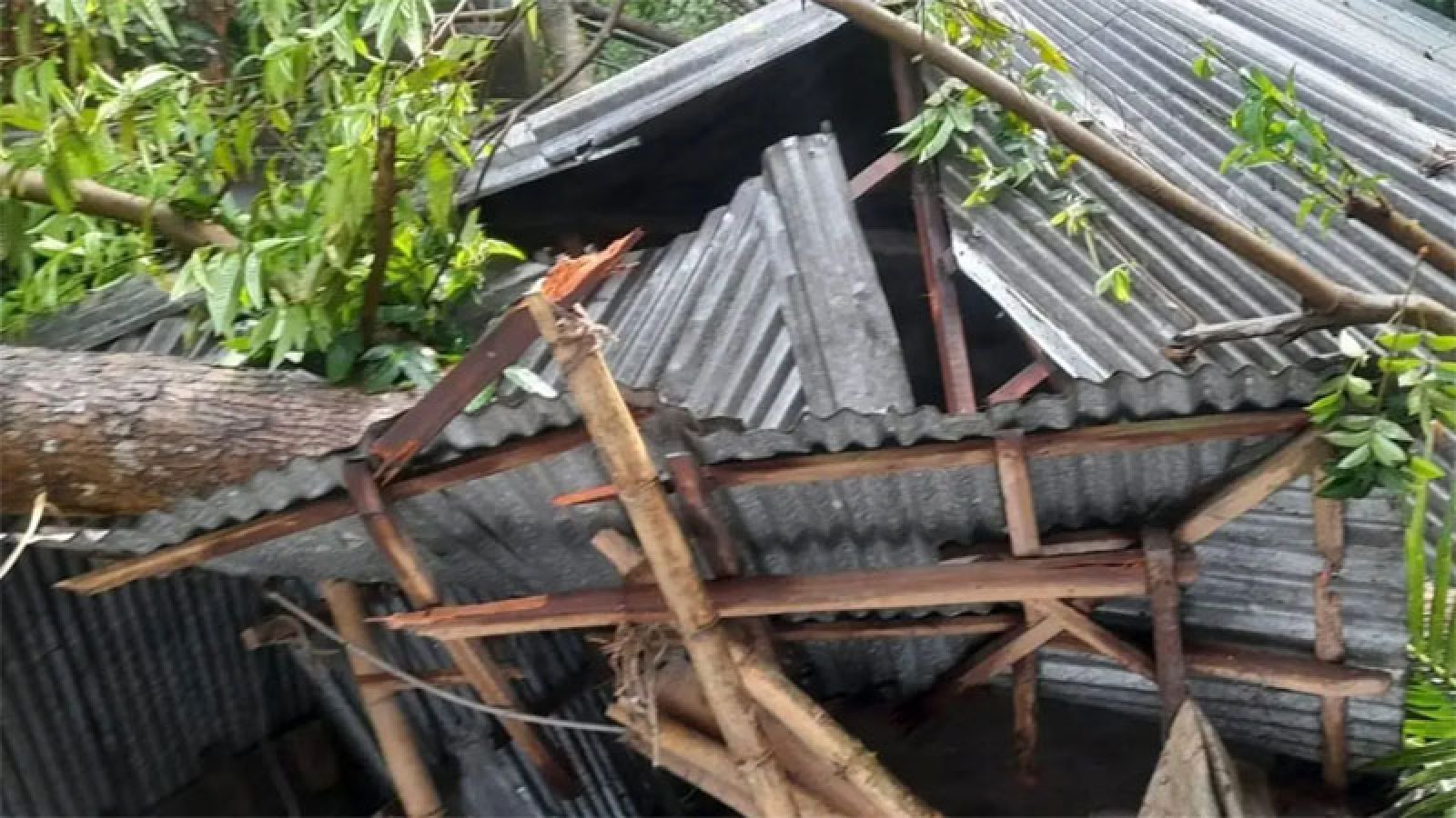 কালবৈশাখী ঝড়ের সময় আম কুড়াতে গিয়ে প্রাণ গেল নারীর
