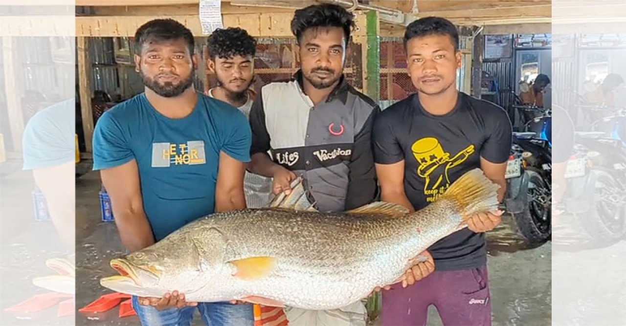 এক কোরাল ৩২ হাজারে বিক্রি