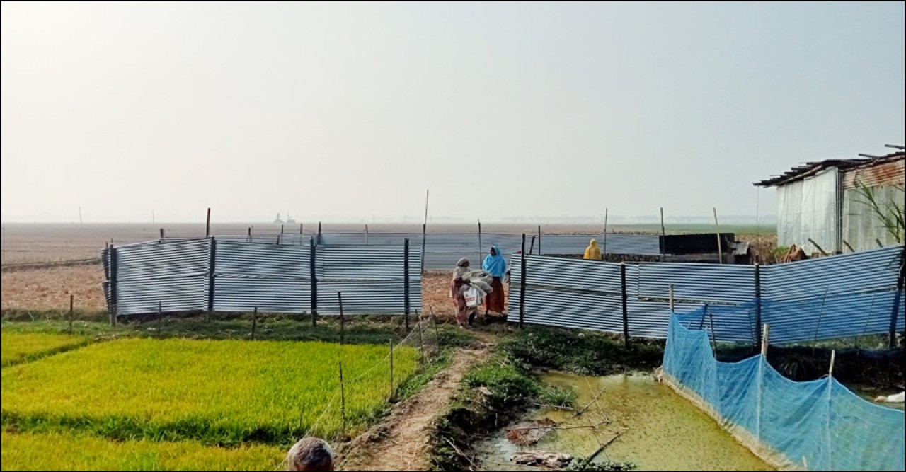 বদলগাছীতে রাতের আধারে টিনের বেড়া দিয়ে  জোরপূর্বক জমি দখল
