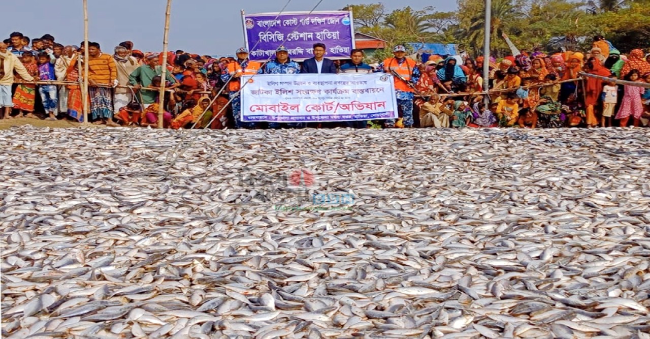 মেঘনা নদী থেকে ৪২০ মন জাটকা জব্দ॥ অতঃপর