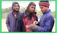 নাচোলে হাতের কব্জিতে মৌমাছি নিয়ে ঘুরে বেড়ান হৃদয়