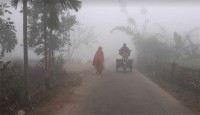 আবারও মৃদু শৈত্যপ্রবাহের কবলে উত্তরের জেলা পঞ্চগড়