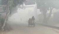 দিনাজপুরে বইছে মৃদু শৈত্যপ্রবাহ