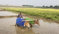 'ওদেরওতো শীত লাগে, কষ্ট হয়'