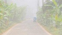 নোয়াখালী ঘন কুয়াশার চাদরে ঢাকা