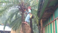 নোয়াখালীর তাপমাত্রা ১২ ডিগ্রি সেলসিয়াস