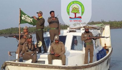 বন অধিদপ্তরে চাকরি , নেবে ৩৮২ জন ফরেস্টার
