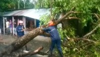 দুর্গাপুরে কাল বৈশাখী ঝড় ও শিলা বৃষ্টিতে ব্যাপক ক্ষতি