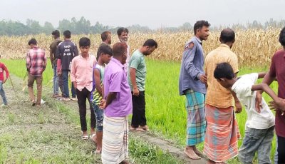 দিনাজপুরে ছেলের হাতে বাবা ও ভাই খুন