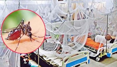 ডেঙ্গু আক্রান্ত হয়ে আরও ৬ জনের মৃত্যু, হাসপাতালে ভর্তি ২০৮৯
