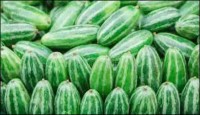পটল খেতে চান না ,জেনে নিন এর গুণাগুন