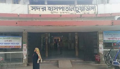 ঘুমন্ত অবস্থায় সাপের কামড়ে প্রাণ গেল শিশুর