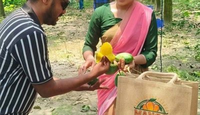 গাছে আম, হাতে মোবাইল—অনলাইনে আম বিক্রি করে সফল বদলগাছীর মোস্তাকিম