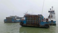 দৌলতদিয়া-পাটুরিয়া নৌপথে ফেরি চলাচল স্বাভাবিক