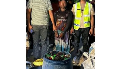 নিয়ামতপুরে ২০০ লিটার চোলাই মদসহ মাদক কারবারি গ্রেপ্তার