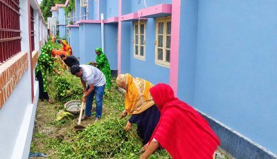 পবায় ডেঙ্গু প্রতিরোধে পরিষ্কার-পরিচ্ছন্নতা অভিযান পরিচালিত