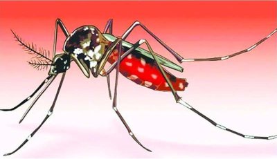 রাজশাহীতে বাড়ছে ডেঙ্গুর প্রকোপ