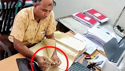 সেবাগ্রহীতার নিকট থেকে প্রকাশ্যেই ঘুষের টাকা গুনে নেন তিনি