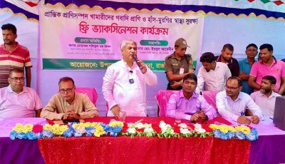 পবায় ফ্রি টিকায় সুরক্ষিত হচ্ছে ৮৩ হাজার গবাদিপশু ও হাঁস-মুরগি, স্বস্তিতে প্রান্তিক খামারিরা