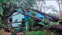 মে মাসে ৮ দিন কালবৈশাখীর ঝড়ের আভাস