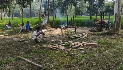 স্বামীর মৃত্যুর পর স্ত্রীর আত্মহত্যা, পঞ্চগড়ের পাশাপাশি চিতায়