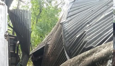 ঝড়ে ঘরের ওপর গাছ পড়ে মায়ের মৃত্যু, ছেলে হাসপাতালে